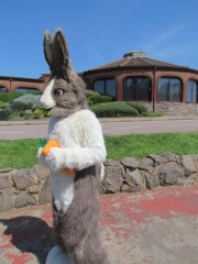 Devilwuff CF2012 292