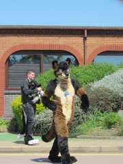 Devilwuff CF2012 293