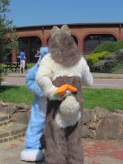 Devilwuff CF2012 294