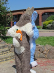 Devilwuff CF2012 295