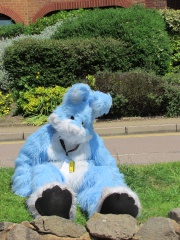 Devilwuff CF2012 296