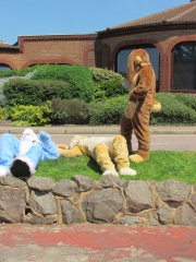 Devilwuff CF2012 298