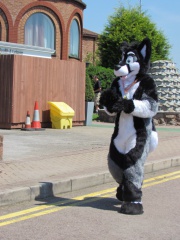 Devilwuff CF2012 299