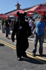 SeanC CF2012 269