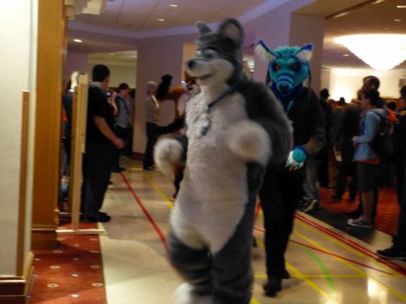 Orthank-Naalik CF2014 298