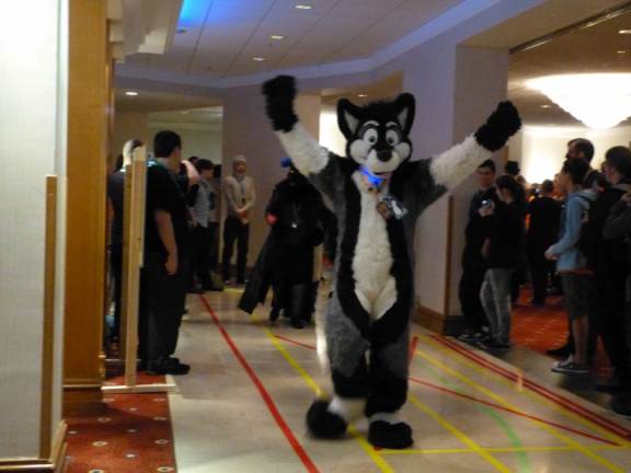 Orthank-Naalik CF2014 300