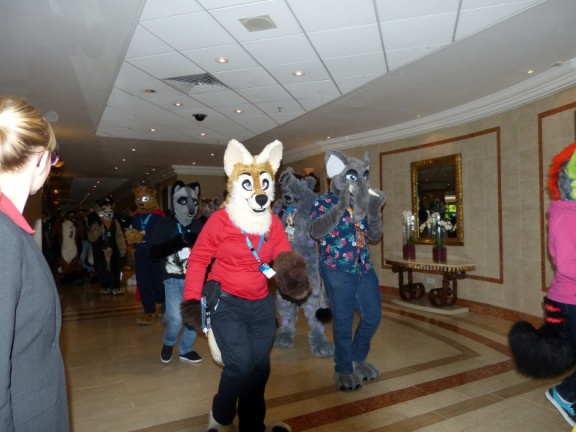 Orthank-Naalik CF2014 308