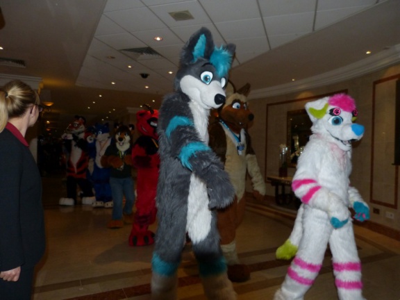 Orthank-Naalik CF2014 330