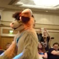 Fursuit Fiasco part2
