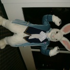 lordcottontail01