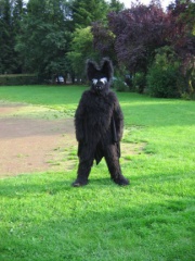 Wulfie EF10 012