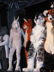 Wulfie EF10 064