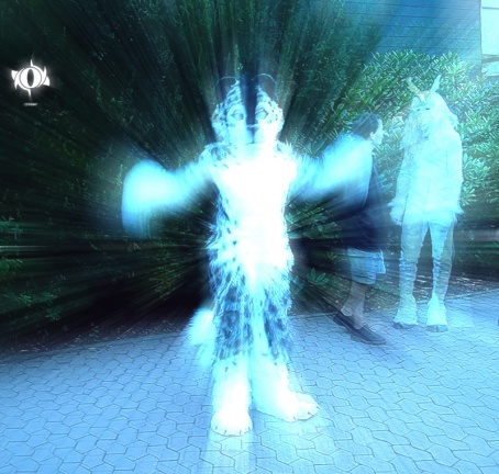 Xan EF10 tani07