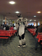 Devilwuff EF08 001