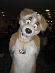 Devilwuff EF08 017