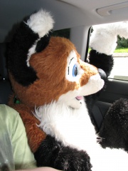 Devilwuff EF08 057