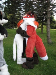 Devilwuff EF08 084