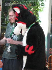Devilwuff EF08 127