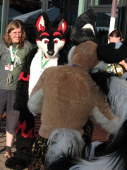 Devilwuff EF08 129