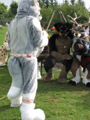 Devilwuff EF08 258
