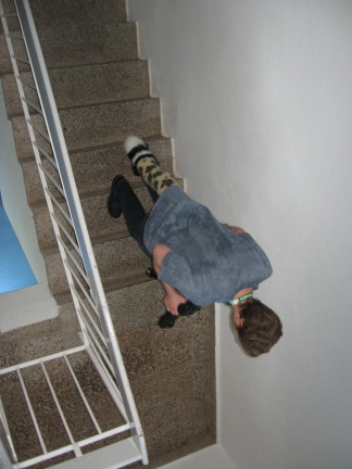 cLx EF14 0785 nous les jaguars n avont pas peur des escaliers