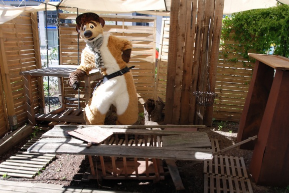 Aoi EF17 day4 TC 4962 e