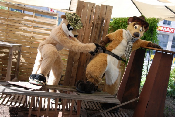 Aoi EF17 day4 TC 4977 e