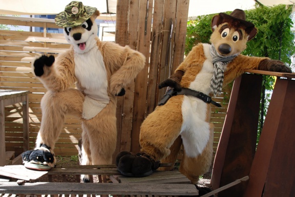 Aoi EF17 day4 TC 4984 e