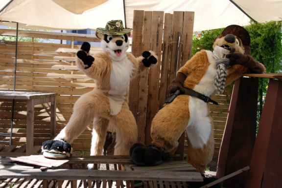 Aoi EF17 day4 TC 4989 e