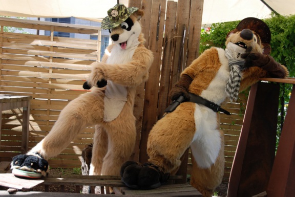 Aoi EF17 day4 TC 4990 e