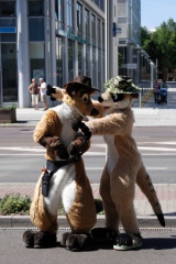 Aoi EF17 day4 TC 5002 e