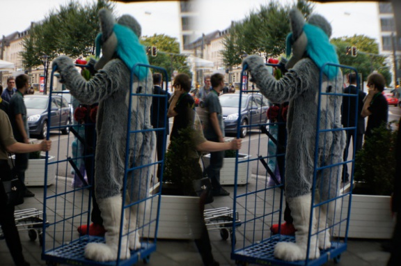 Aoi EF17 para day0 0008