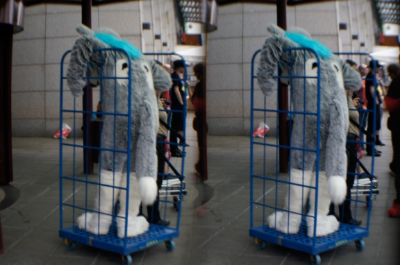 Aoi EF17 para day0 0011