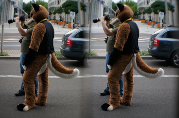 Aoi EF17 para day0 0044