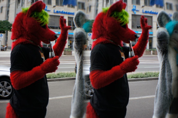 Aoi EF17 para day0 0049