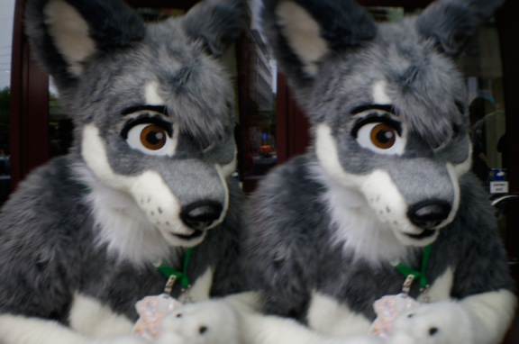 Aoi EF17 para day0 0069