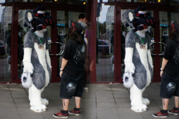 Aoi EF17 para day0 0087