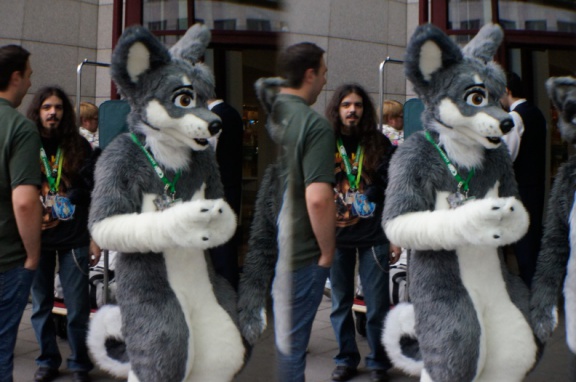 Aoi EF17 para day0 0118