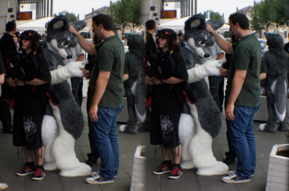 Aoi EF17 para day0 0123