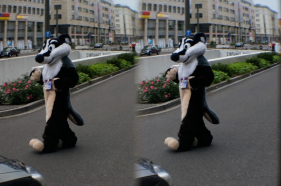 Aoi EF17 para day0 0133