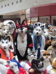 Devilwuff EF17 1668
