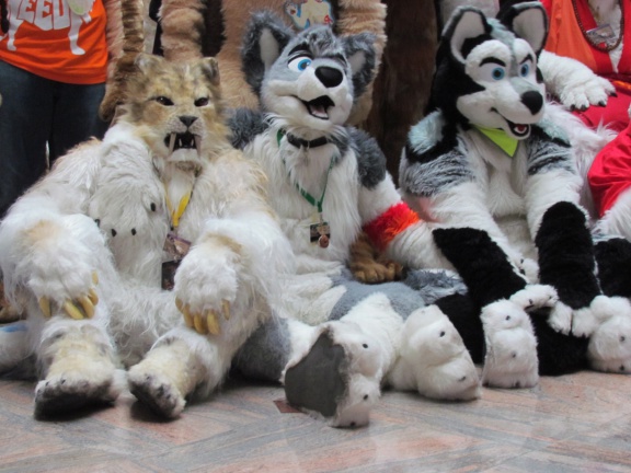 Devilwuff EF17 1669
