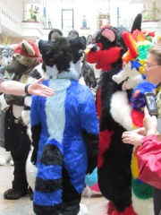 Devilwuff EF17 1672