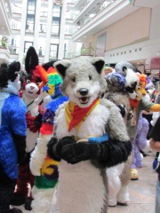 Devilwuff EF17 1674