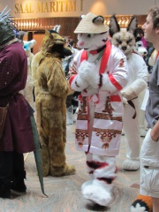 Devilwuff EF17 1675