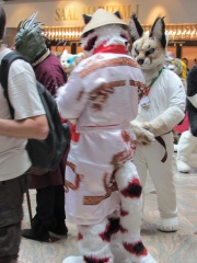 Devilwuff EF17 1676