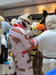 Devilwuff EF17 1677