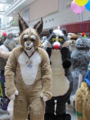 Devilwuff EF17 1679