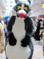 Devilwuff EF17 1680
