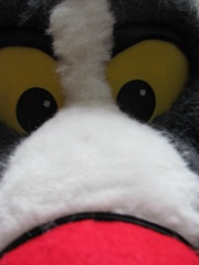 Devilwuff EF17 1681